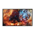 49" LED Samsung DB49J