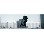 ACER Electrical Scooter Predator Extreme, kolobežka, (rozbalené)