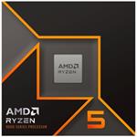 AMD Ryzen 5 9600X