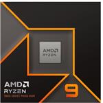 AMD Ryzen 9 9900X