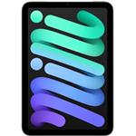 Apple iPad mini, Wi-Fi + Cellular, 256GB, sivý (2024)