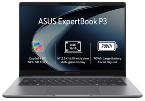 ASUS ExpertBook P3/Ryzen AI 5 330/16GB/512GB SSD/AMD Radeon/14" WQXGA/Win11Home/Gray