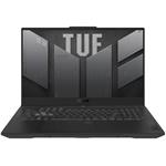 Asus TUF Gaming F17 FX707VI-LL050W, sivý