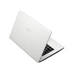 ASUS X301A (RX159H)