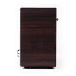 Auna Charleston, digitálne rádio, drevený dizajn