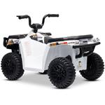 Beneo Arctic Cat, elektrická štvorkolka so zadným pohonom, 12V, 2x25W, biela