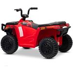 Beneo Arctic Cat, elektrická štvorkolka so zadným pohonom, 12V, 2x25W, červená