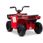Beneo Arctic Cat, elektrická štvorkolka so zadným pohonom, 12V, 2x25W, červená
