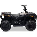 Beneo Arctic Cat, elektrická štvorkolka so zadným pohonom, 12V, 2x25W, čierna