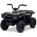 Beneo Arctic Cat, elektrická štvorkolka so zadným pohonom, 12V, 2x25W, čierna