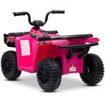 Beneo Arctic Cat, elektrická štvorkolka so zadným pohonom, 12V, 2x25W, ružová