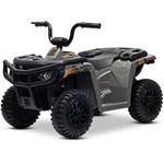 Beneo Arctic Cat, elektrická štvorkolka so zadným pohonom, 12V, 2x25W, sivá