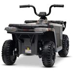 Beneo Arctic Cat, elektrická štvorkolka so zadným pohonom, 12V, 2x25W, sivá