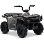 Beneo Arctic Cat, elektrická štvorkolka so zadným pohonom, 12V, 2x25W, sivá