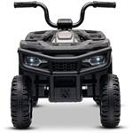 Beneo Arctic Cat, elektrická štvorkolka so zadným pohonom, 12V, 2x25W, sivá