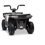 Beneo Arctic Cat, elektrická štvorkolka so zadným pohonom, 12V, 2x25W, sivá