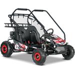 Beneo Motors BUGGY RSX XL, benzínová bugina pre deti, 212cm3, červená