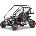 Beneo Motors BUGGY RSX XL, benzínová bugina pre deti, 212cm3, červená