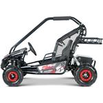 Beneo Motors BUGGY RSX XL, elektrická bugina pre deti, 2000W, červená