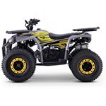 Beneo Motors Warrior, benzínová štvorkolka pre deti, 125cm3, žltá