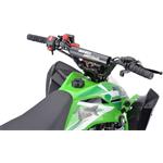Beneo Motors ZXT benzínová štvorkolka pre deti, 125cm3, zelená