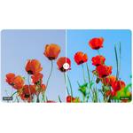 BenQ GW2491, 23.8"