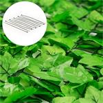 Blumfeldt Fency Bright Ivy, brečtan, plot na ochranu pred pozorovaním