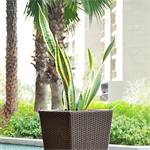 Blumfeldt Primaflor Hydro, dvojfarebná nádoba na kvety