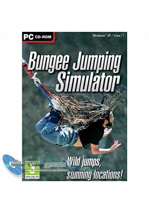 Bungee Jumping simulator (PC)