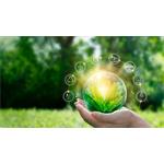 Canyon OnGo 4 Mini, sivé