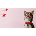 Canyon OnTag 1, 4ks, čierny