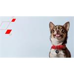 Canyon OnTag 1, biely