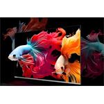 CHiQ M65QN9V, 65"