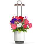 Click and Grow HydroVase by Ermonix, inteligentný kvetináč, biely