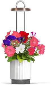 Click and Grow HydroVase by Ermonix, inteligentný kvetináč, biely