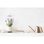 Click and Grow HydroVase by Ermonix, inteligentný kvetináč, sivý