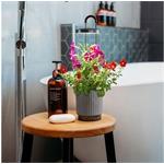 Click and Grow HydroVase by Ermonix, inteligentný kvetináč, sivý