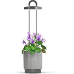 Click and Grow HydroVase by Ermonix, inteligentný kvetináč, sivý