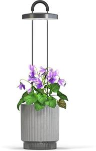 Click and Grow HydroVase by Ermonix, inteligentný kvetináč, sivý