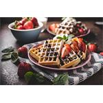 Concept FAMILY 3v1 SV3080, sendvičovač