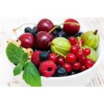 Concept LO7120 JUICY, odšťavovač