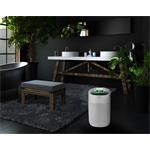 Concept OV1200 Perfect Air, odvlhčovač a čistička vzduchu