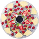 Concept RAW FOOD SO2020, sušička ovocia