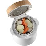 Concept RE3030, ryžovar