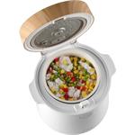 Concept RE3030, ryžovar