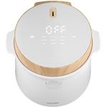 Concept RE3030, ryžovar