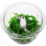 Concept RM3270, sekáčik na potraviny, 500 W