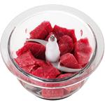 Concept RM3270, sekáčik na potraviny, 500 W