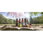 Concept SM4000, prenosný USB smoothie maker, biely