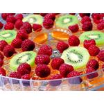 Concept SO1090, sušička ovocia